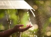 monsoon