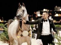 Mohammad Sheikh Suliman