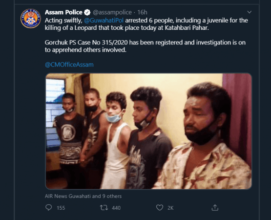 locals arrested on leopard killing locals arrested on leopard killing