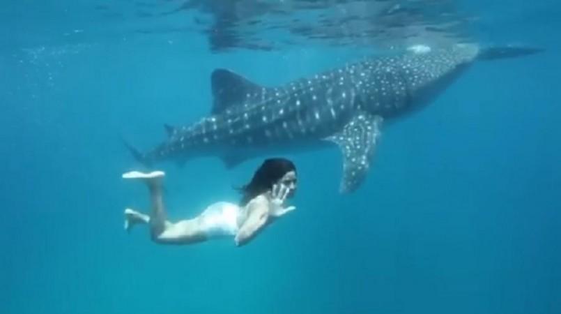 Katrina Kaif swimming in ocean. Katrina Kaif Swimming