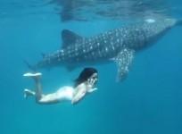 Katrina Kaif Swimming