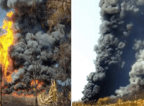 assam fire