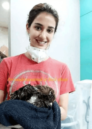 Disha Patani saves bird
