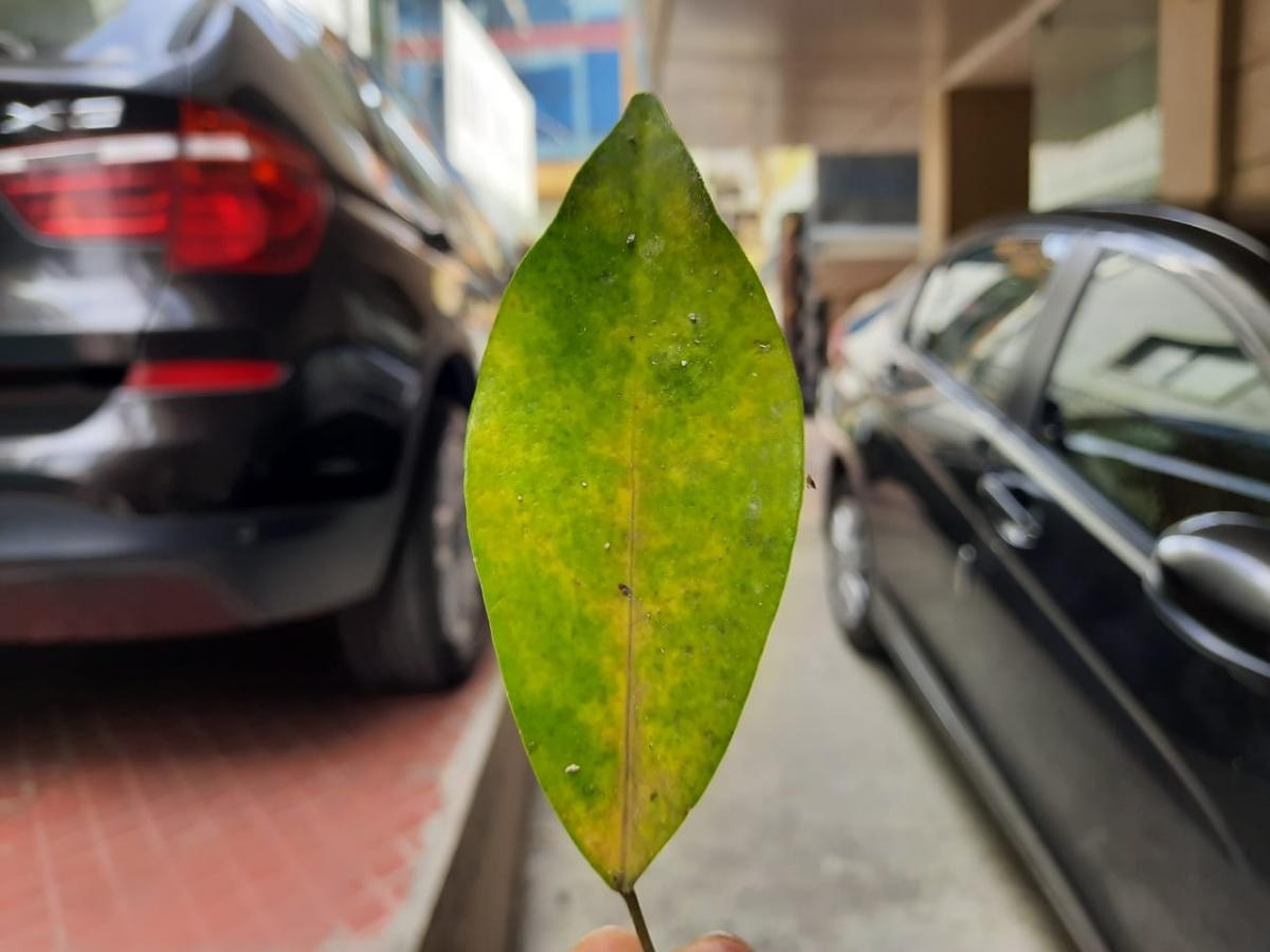 Samsung Galaxy M21 review Samsung Galaxy M21 review