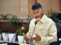 Nara Chandrababu Naidu