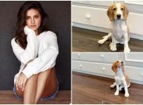 Tara Sutaria welcomes new member Bailey into family