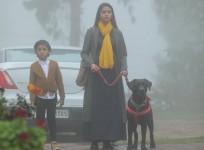 Keerthy Suresh in Penguin