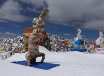 ITBP personnel yoga