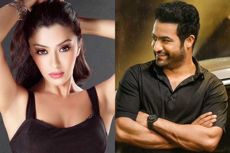 Junior NTR didn't have it easy, so shut up about nepotism: Payal Ghosh - IBTimes India