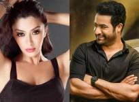 Payal Ghosh and Junior NTR