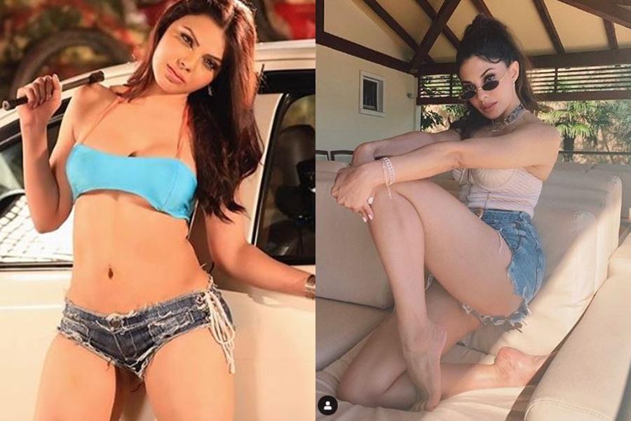 900px x 600px - Sherlyn Chopra trolls Jacqueline Fernandez's comment on Sushant's last film  Dil Bechara: Your performance ain't easy on eyes, mind - IBTimes India