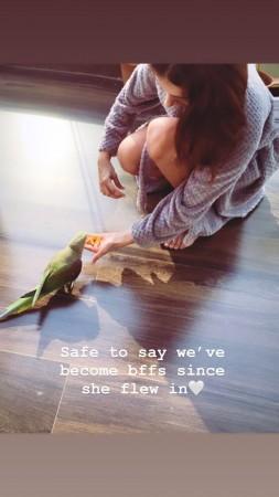 Tara Sutaria Tara Sutaria