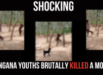 Monkey killed in Telangana