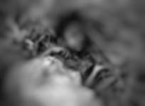 tamil nadu rape murder