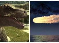 asteroid dinosaur