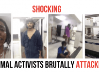 Animal activists