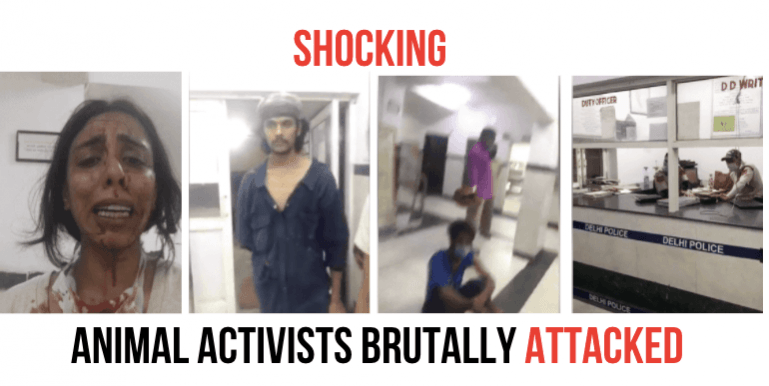 Animal activists