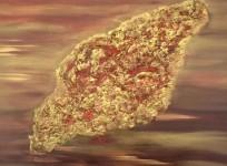 Amoeba