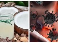 coronavirus coconut oil