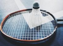 Badminton