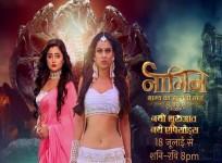 Naagin 4 cast net worth