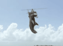 Shark attacks helicopter