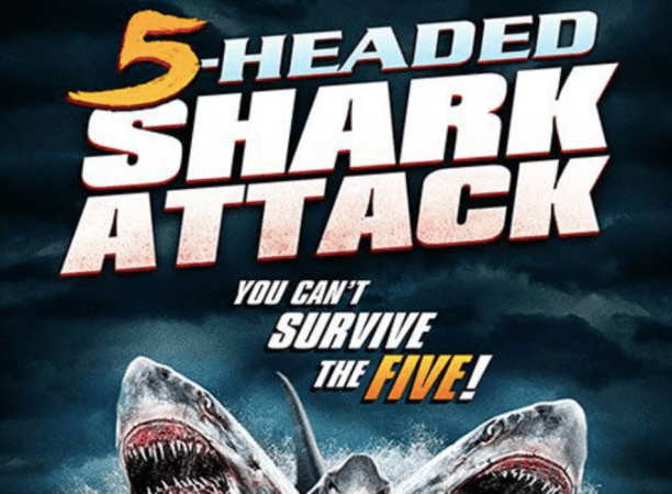Нападение пятиглавой. Нападение пятиглавой акулы / 5 headed Shark Attack (2017). Нападение пятиголовой акулы.