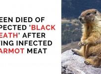 Black death