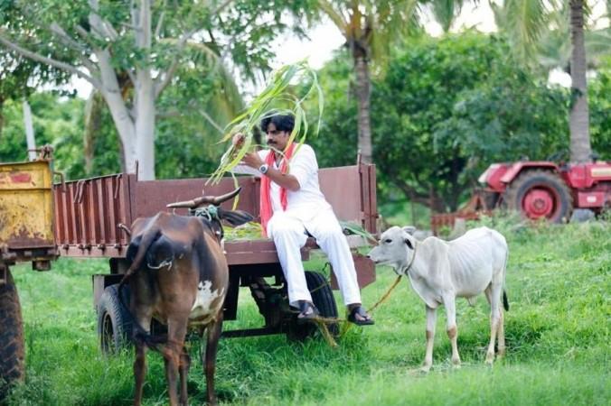 Power Star movie still Power Star movie still