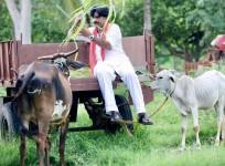 RGV's movie Power Star still