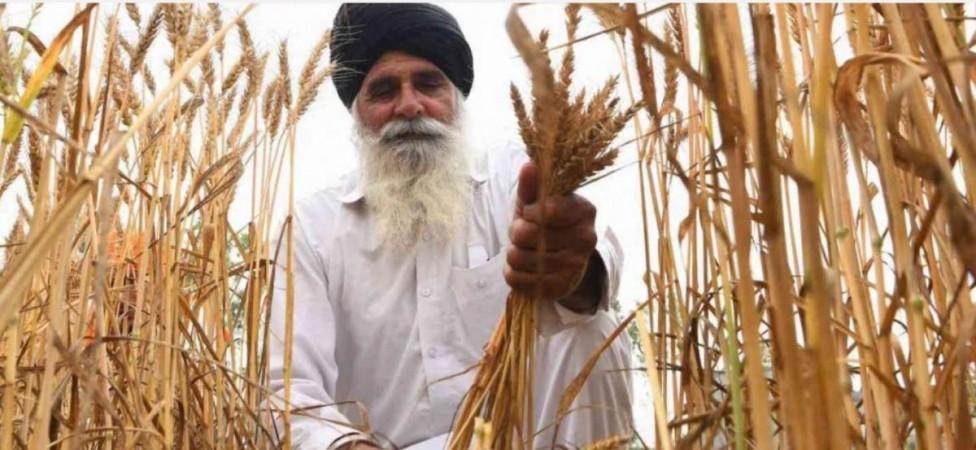 Punjab Farmers