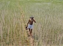 Punjab farmers