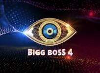Bigg Boss Telugu 4 logo