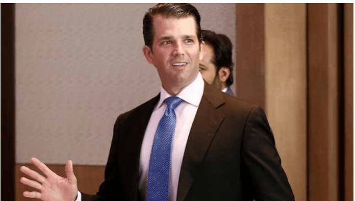 Donald Trump Jr posted a since-deleted tweet on Monday with a viral video of doctors talking about the drug hydroxychloroquine. Donald Trump junior