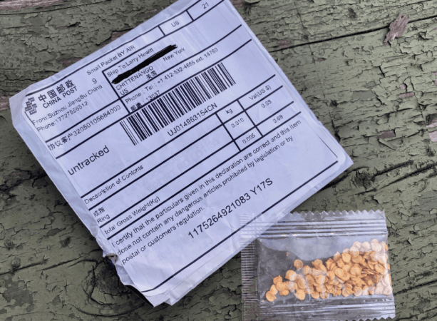 Seeds in mailboxes