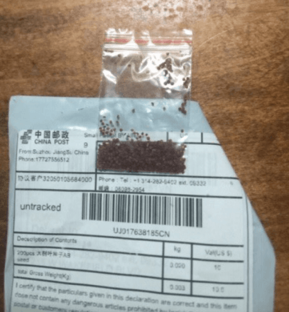 Seeds in mailboxes from China