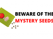 Chinese seeds on American doorsteps
