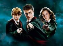 Harry Potter still
