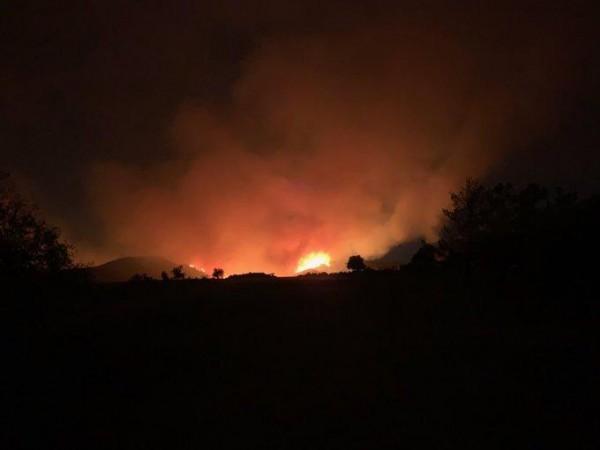 apple fire