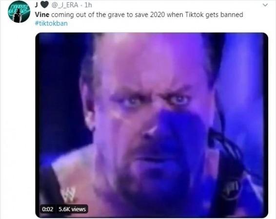 Vine, TikTok