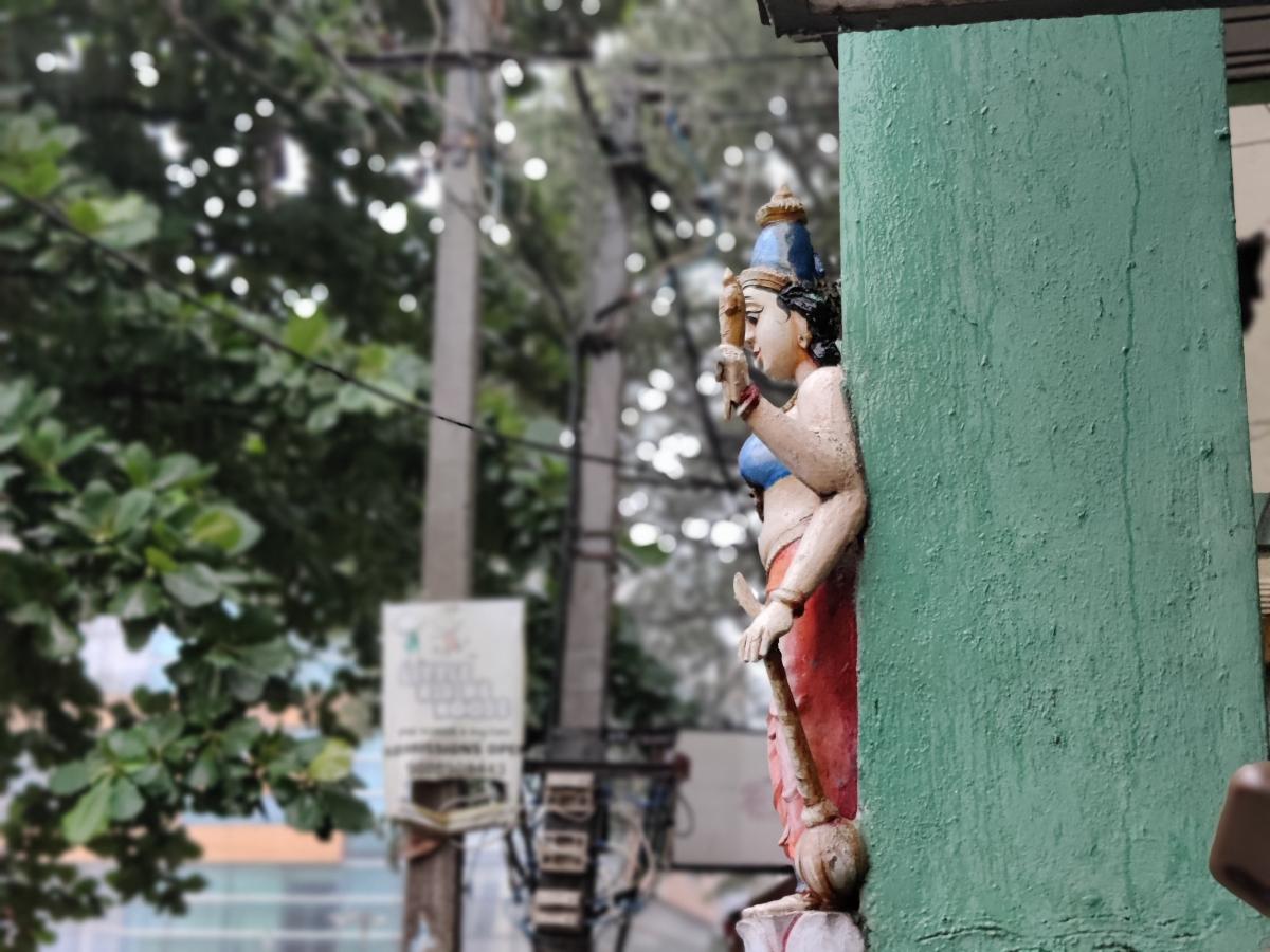 OnePlus 8 camera samples