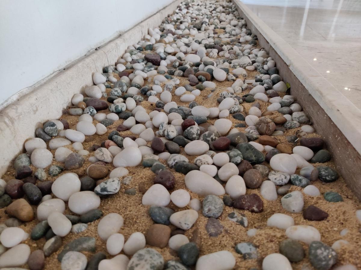 OnePlus 8 camera samples