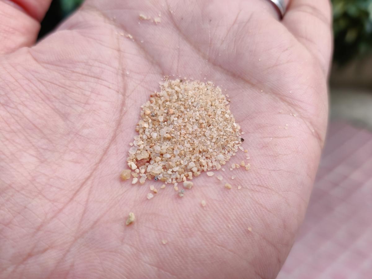 OnePlus 8 camera samples