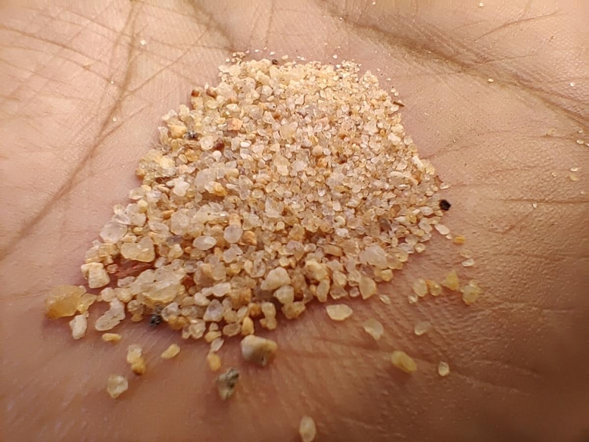 OnePlus 8 camera samples