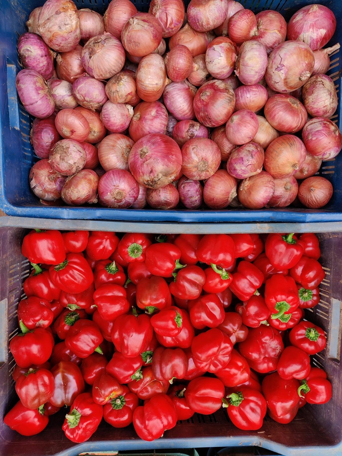 OnePlus 8 camera samples