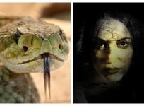 snake ghost