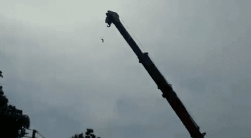 Bird being rescued by crane in Bareilly. Bird caught in Chinese manjha
