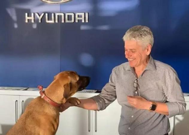 'Tucson Prime the dog' 'Tucson Prime the dog'