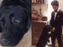 Sushant Singh Rajput, dog Fudge