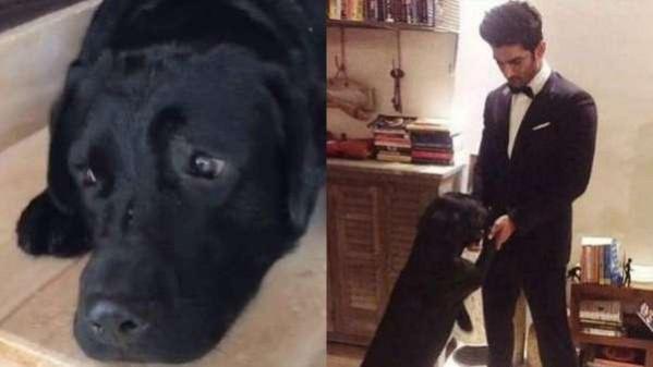 Sushant Singh Rajput dog Fudge Sushant Singh Rajput, dog Fudge